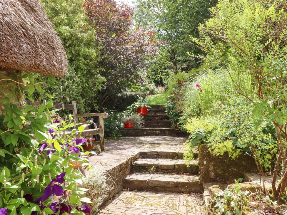 A garden with stairs and plants at Hope Cottage, Riddlecombe, near Winkleigh