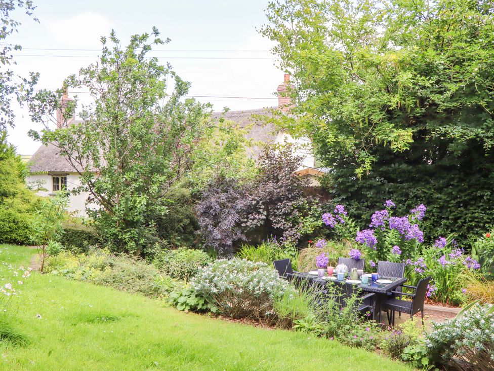 A garden with a seating area and flowers at Hope Cottage, Riddlecombe near Winkleigh