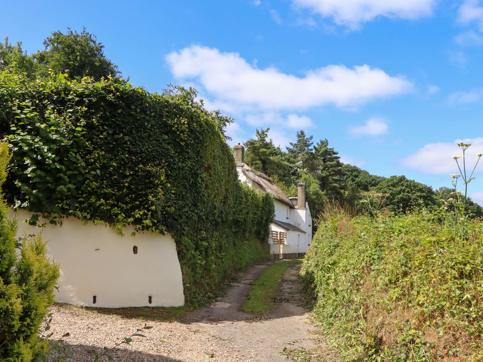 A dirt path leading to a thatched roof house at Hope Cottage in Riddlecombe, near Winkleigh