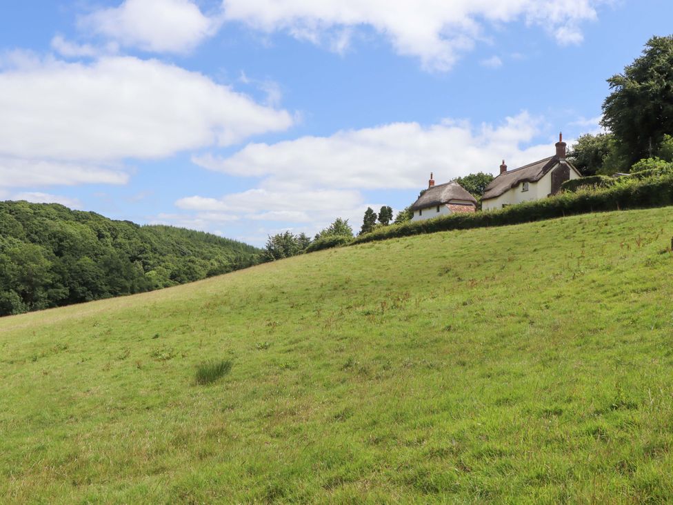Houses on a hillside in a field at Hope Cottage near Riddlecombe, near Winkleigh