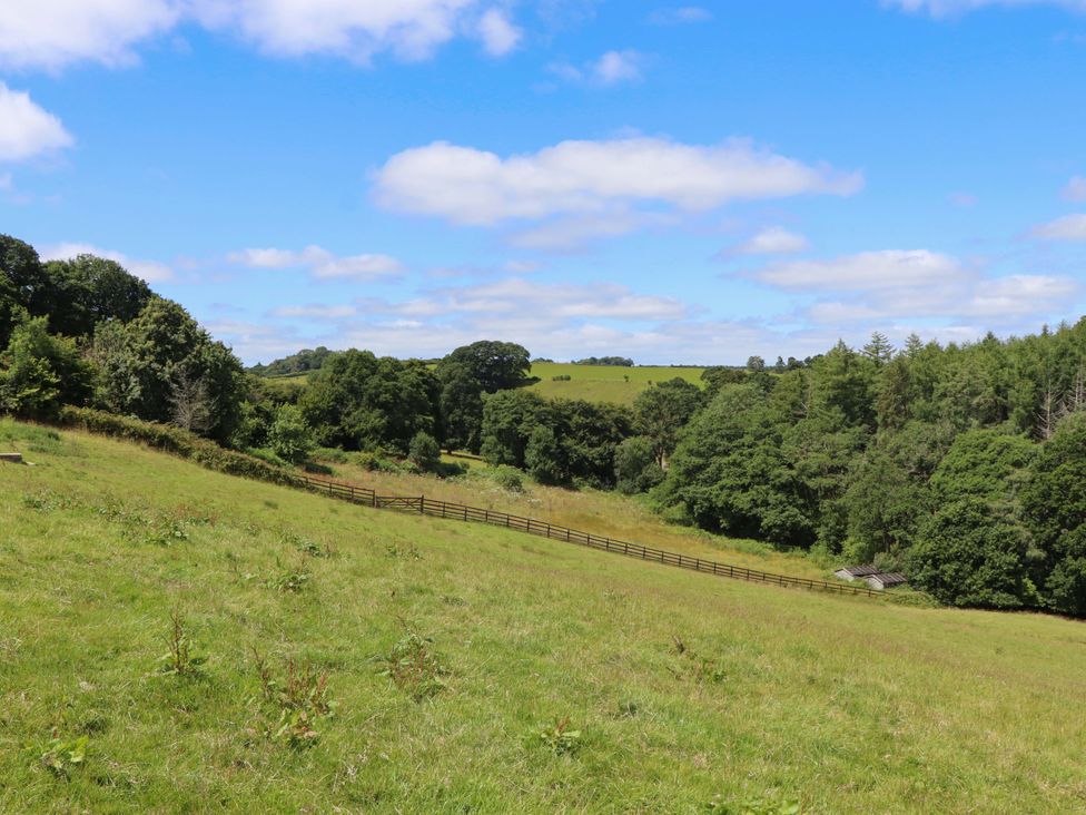 A grassy landscape with trees and a fence at Hope Cottage Riddlecombe near Winkleigh