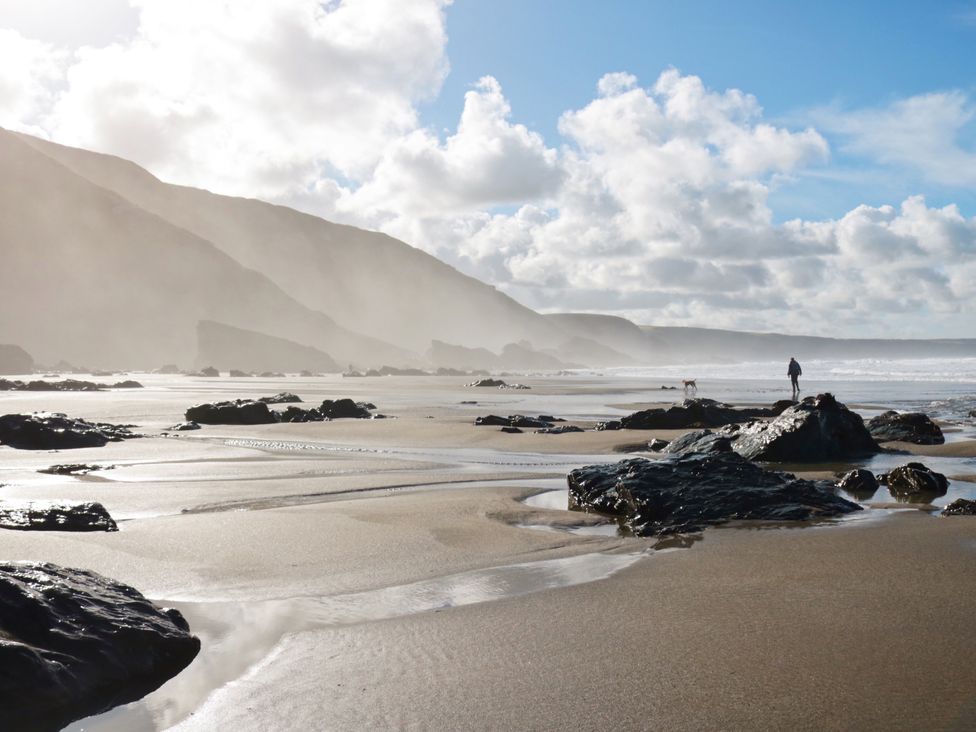 Harry - Cornwall - 976286 - thumbnail photo 24