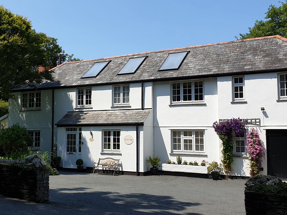 A house with windows and plants at Orchard Lodge in Boscastle