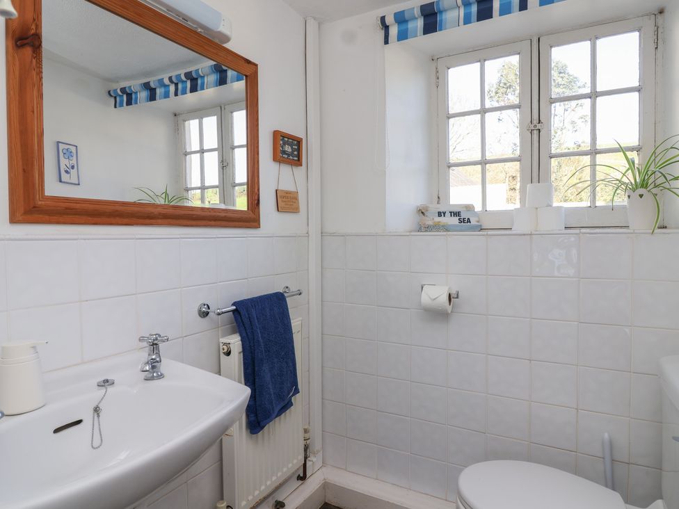 A bathroom with a sink and toilet at Tregonhawke Farmhouse in Millbrook
