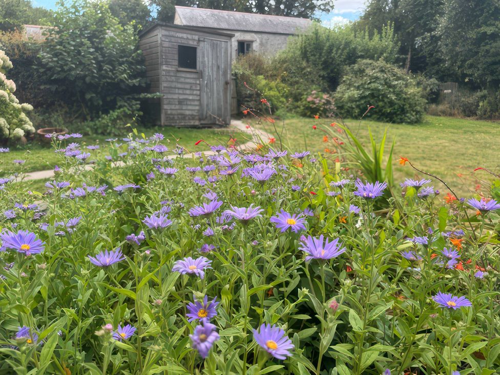 A garden with flowers and a shed at Kingbarth in Lerryn