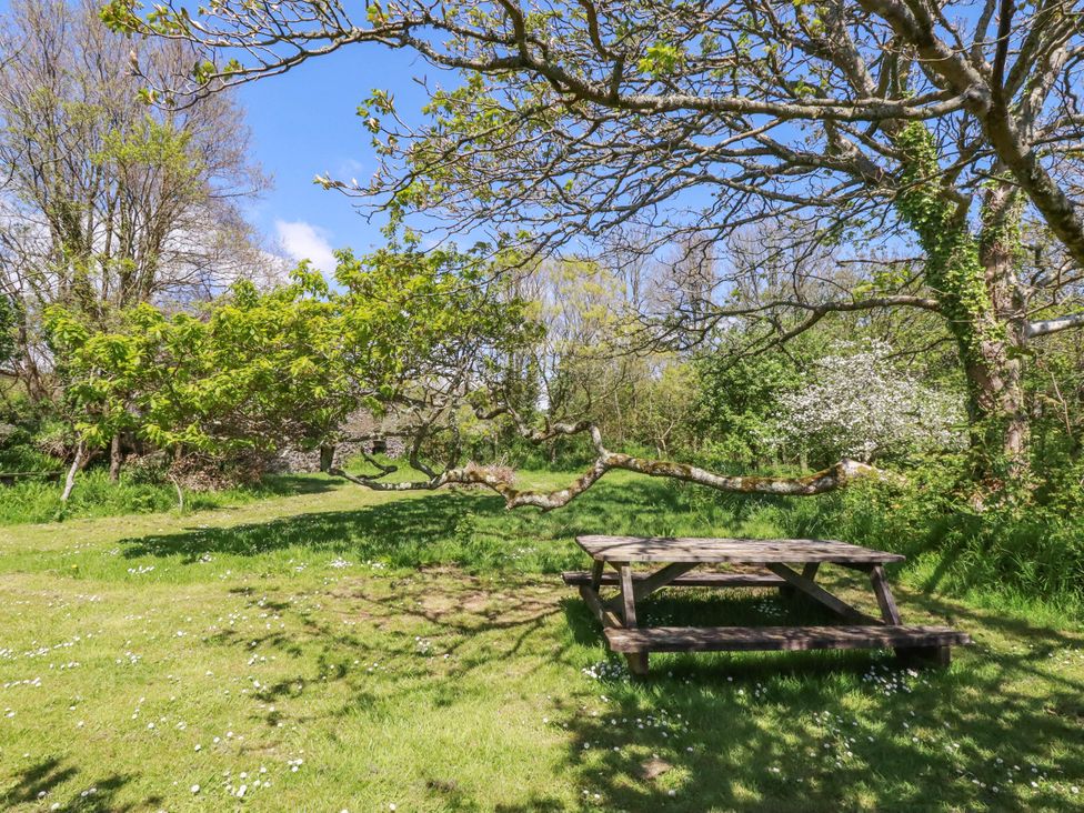 Polcreek Farmhouse - Cornwall - 976471 - thumbnail photo 41