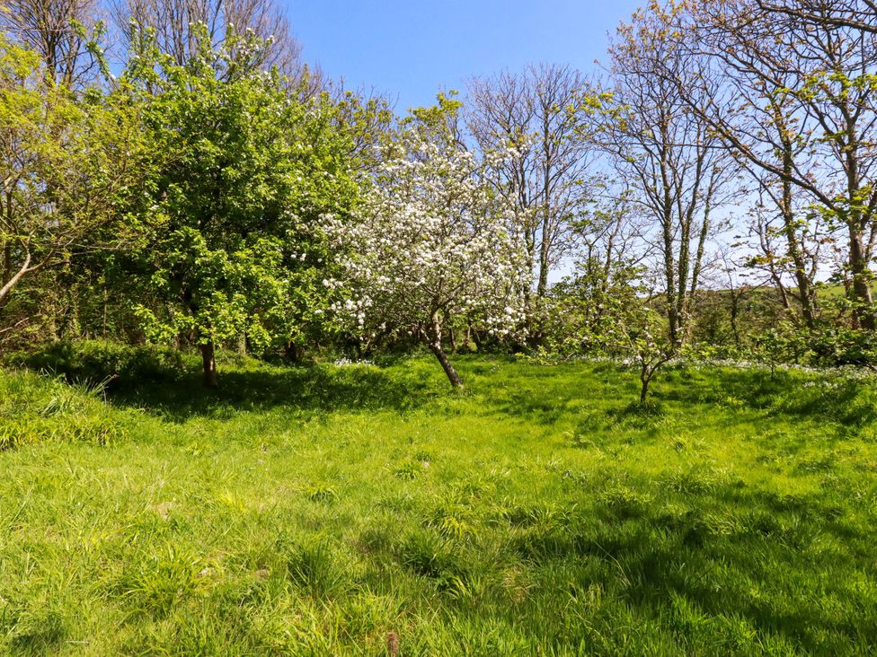 Polcreek Farmhouse - Cornwall - 976471 - thumbnail photo 43