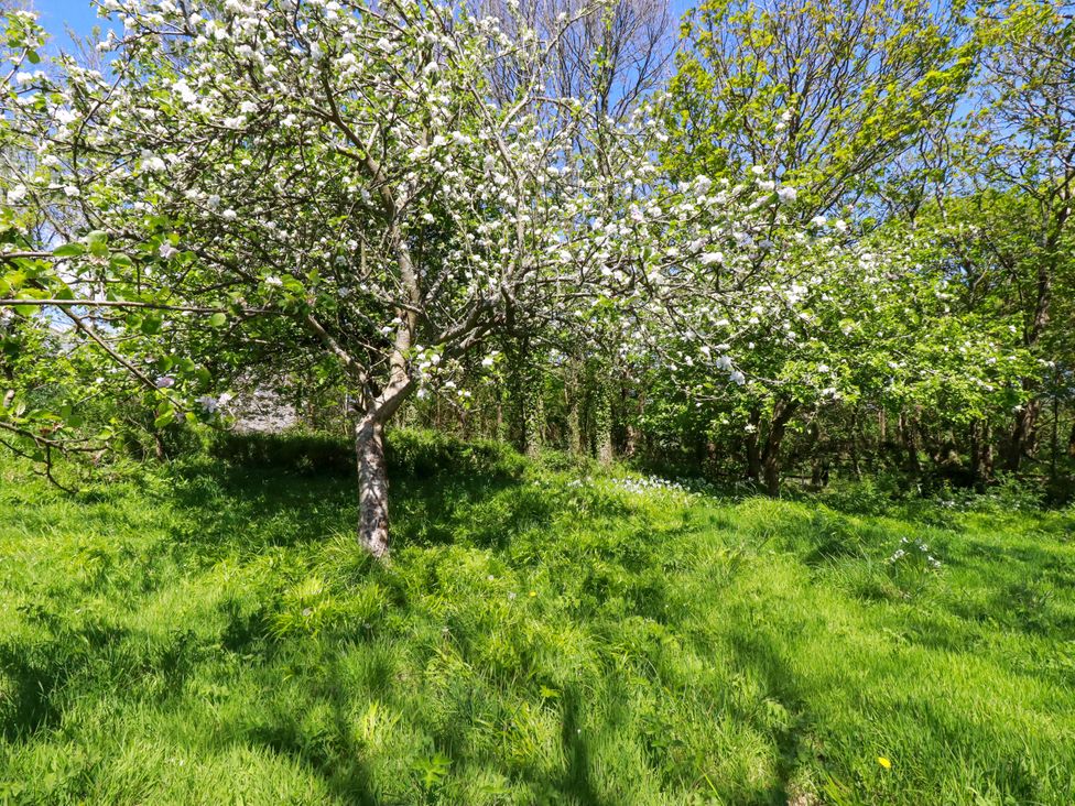 Polcreek Farmhouse - Cornwall - 976471 - thumbnail photo 44