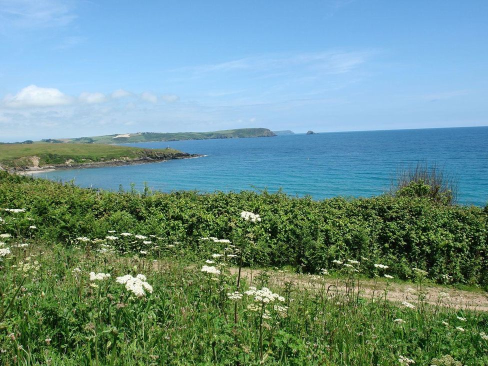 A coastal landscape with a grassy hillside and wildflowers overlooking the sea at Stones Throw in St Mawes
