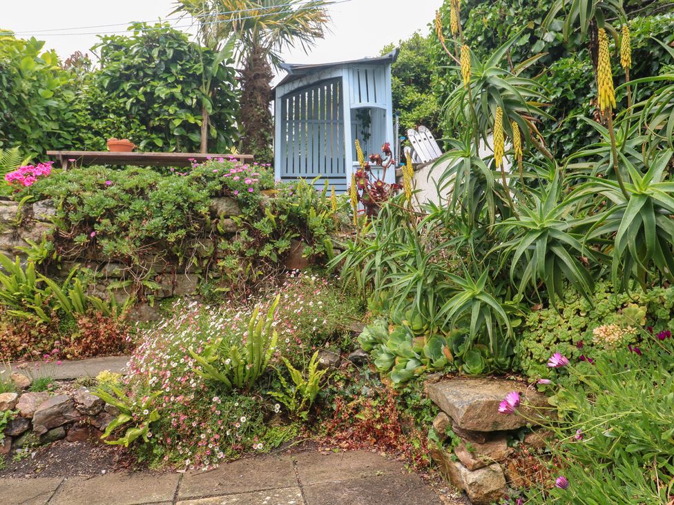 A garden with various plants and flowers at 2 The Cottages Ludgvan