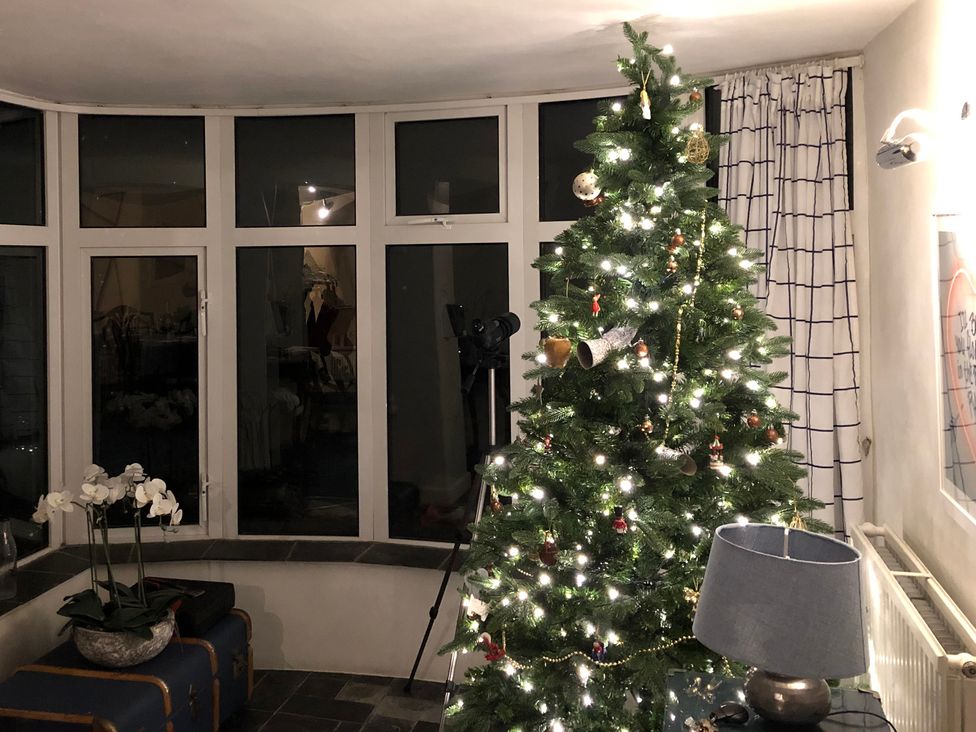 A living room with a Christmas tree and a lamp at Clamoak Cottage in Clamoak near Bere Alston