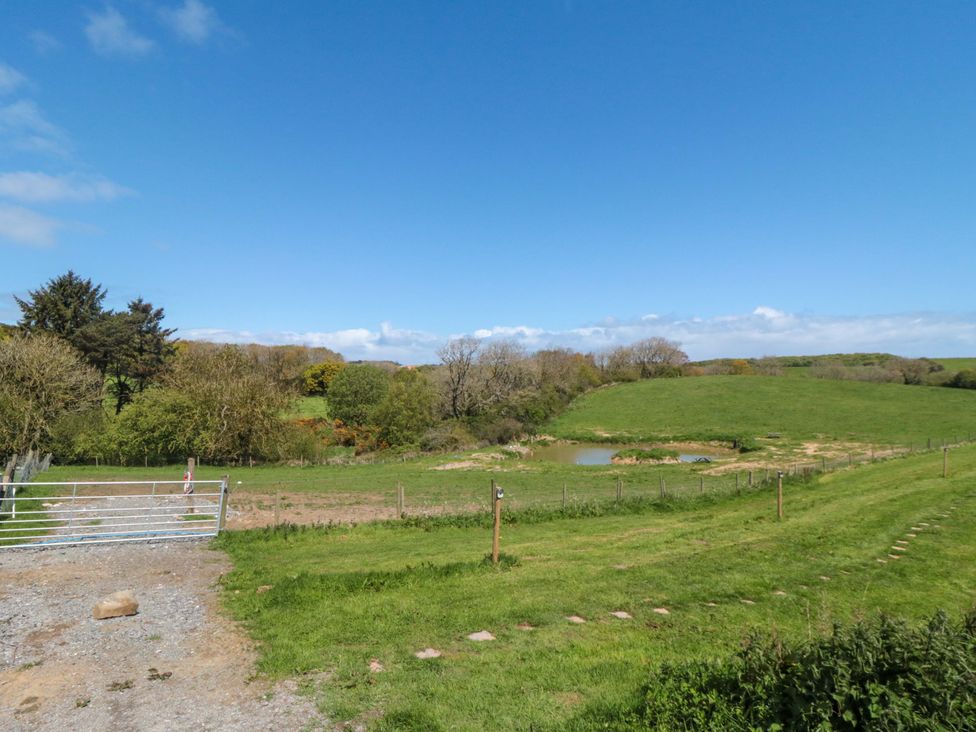 An outdoor view with a gate, pond, and trees at Carters in Staintondale near Burniston