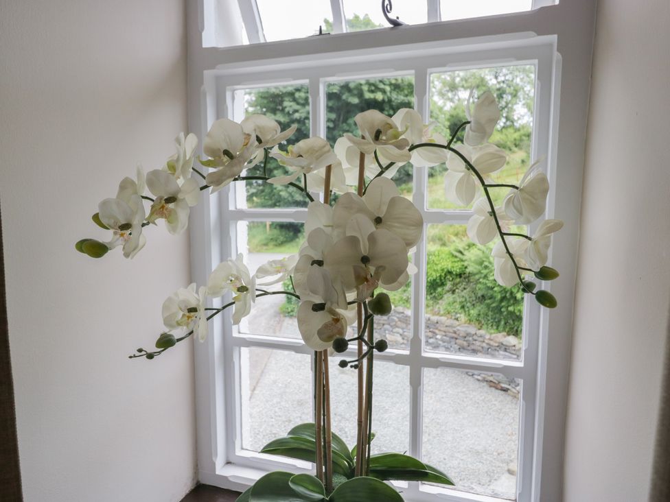 An orchid plant by a window at Rose Cottage in Broughton-In-Furness