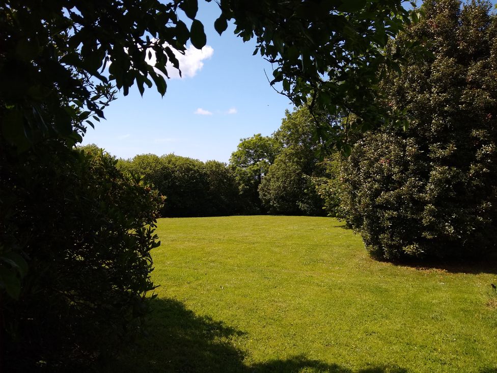 A garden with grass and trees at Dilly Dally Barn in Bradworthy near Bude