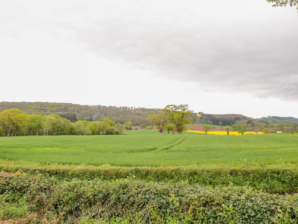 Bower View - Herefordshire - 981609 - thumbnail photo 17