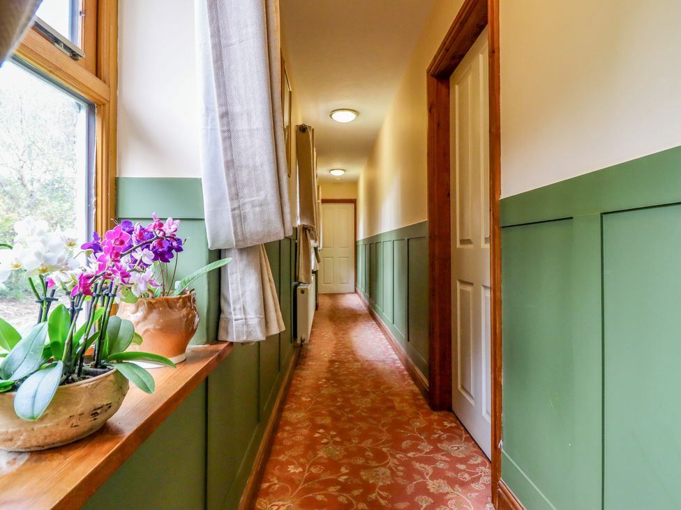 A hallway with a plant and curtains at Gelli Glud in Eglwysbach