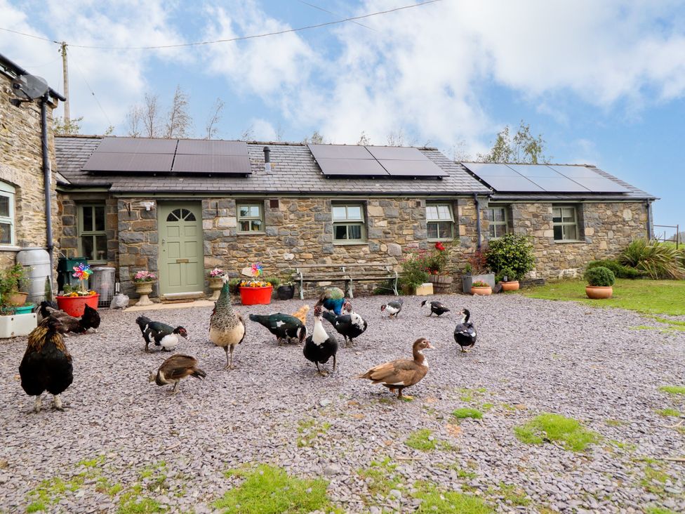 An outdoor area with ducks and a stone house at Gelli Glud in Eglwysbach
