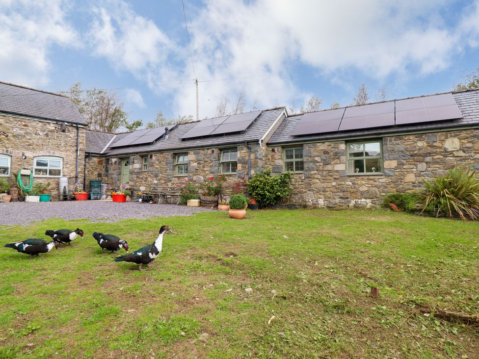 An outdoor area with stone walls and ducks at Gelli Glud in Eglwysbach