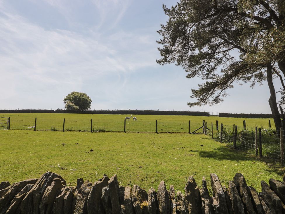 An open field with a fence and tree at Penrhiwarwydd Barn in Pontywaun