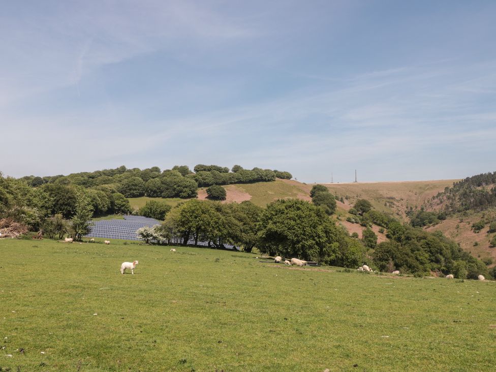 A field with solar panels and sheep at Penrhiwarwydd Barn in Pontywaun