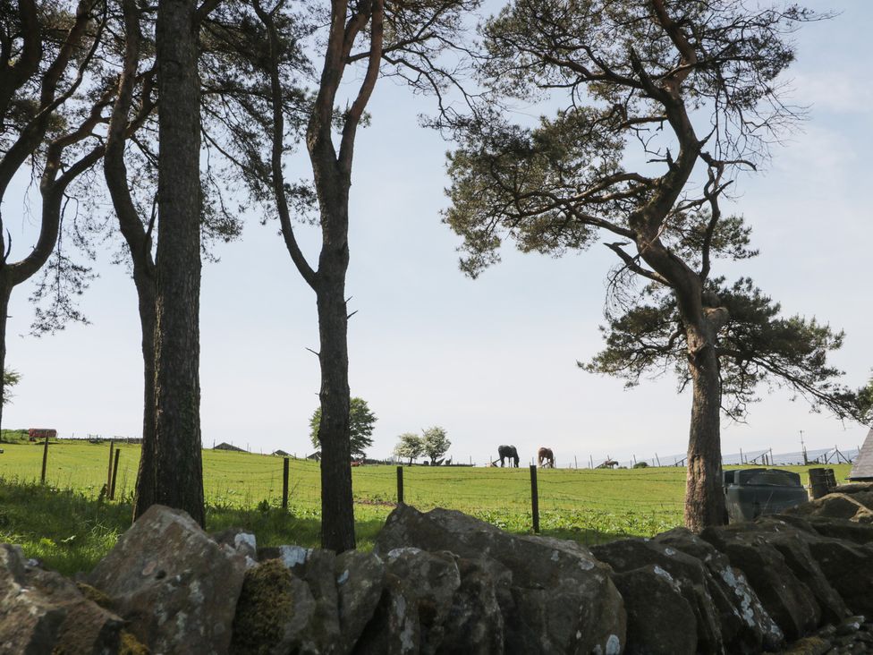 A view of horses in a field with trees and a stone wall at Penrhiwarwydd Barn Pontywaun