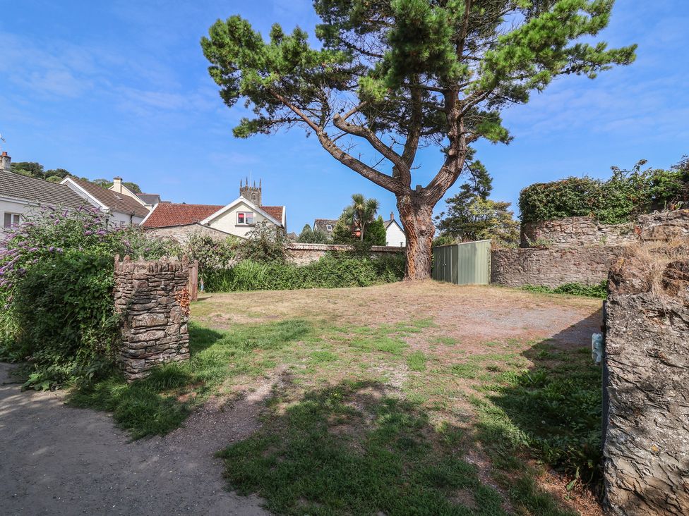 A garden with a tree and fence at Enginefield in Combe Martin