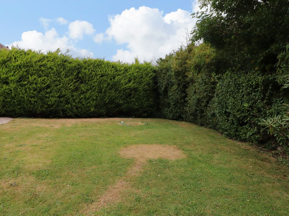 A garden with grass and hedges at Tan Y Goeden in Morfa Nefyn