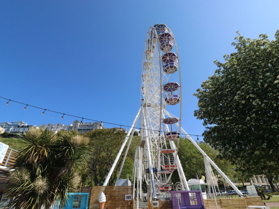 A ferris wheel with a palm tree and buildings in the background at Avenue Park Villa in Torquay