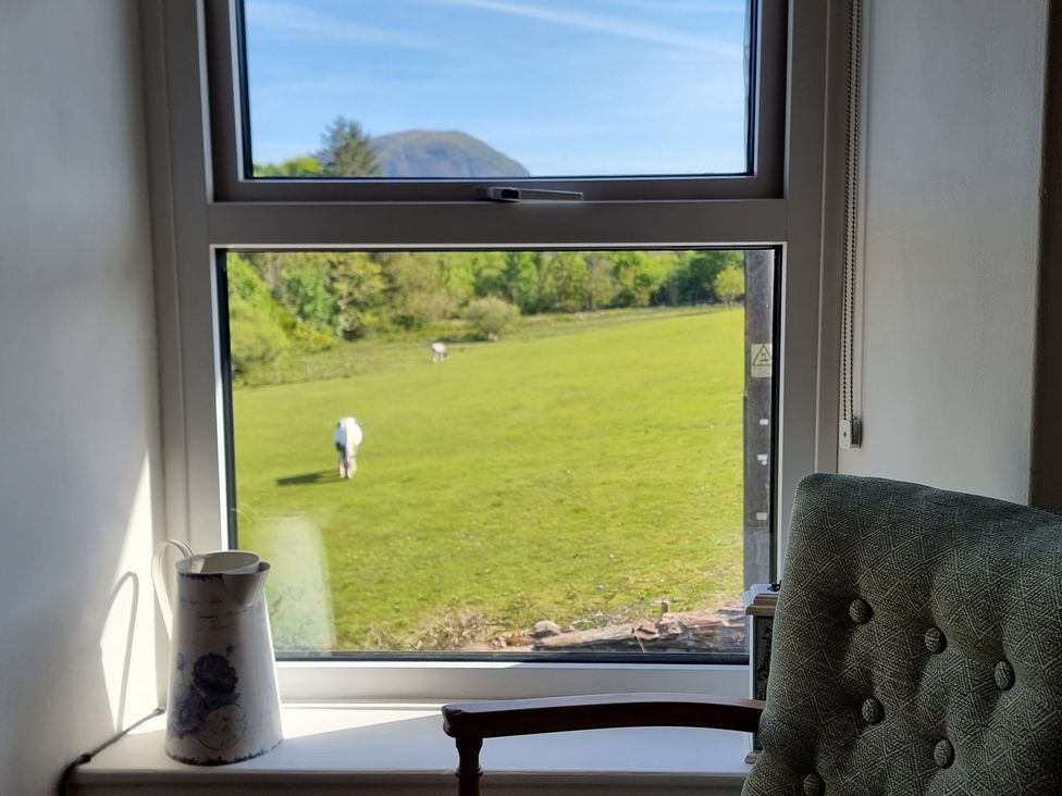 Moelwyn View Cottage - North Wales - 983654 - thumbnail photo 14