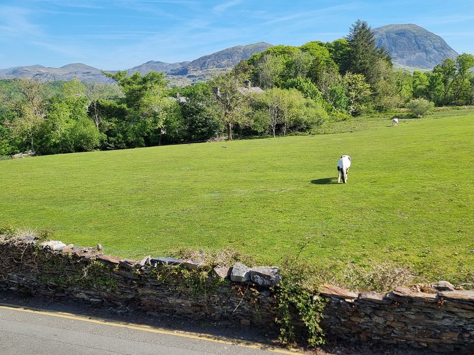 Moelwyn View Cottage - North Wales - 983654 - thumbnail photo 26