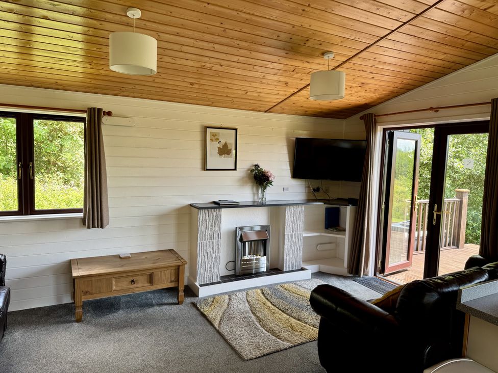 A living room with a fireplace and television at Willow Lodge in Constantine near Falmouth