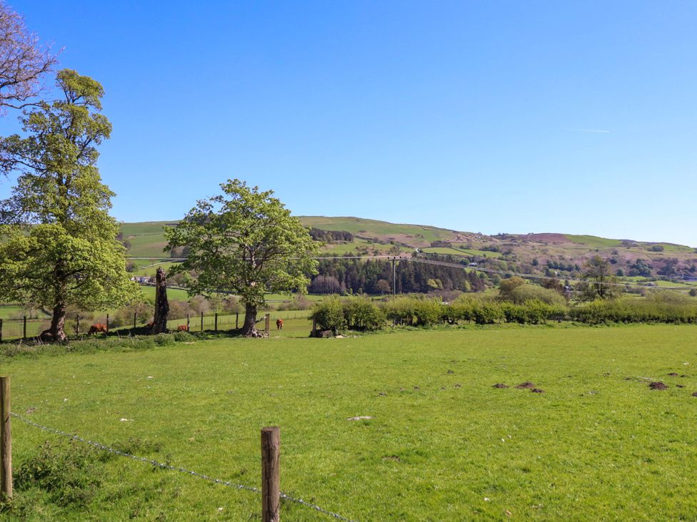 A view of trees and hills in a field at Cefn Nannau near Ty-nant Cerrigydrudion