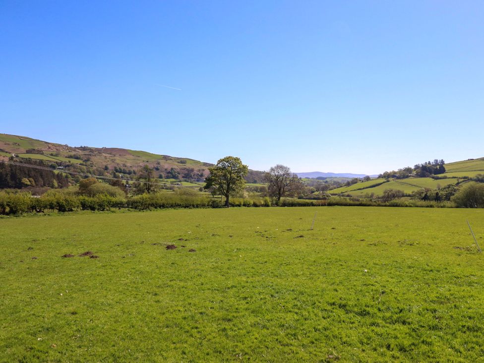 A field with trees and hills at Cefn Nannau near Ty-nant Cerrigydrudion