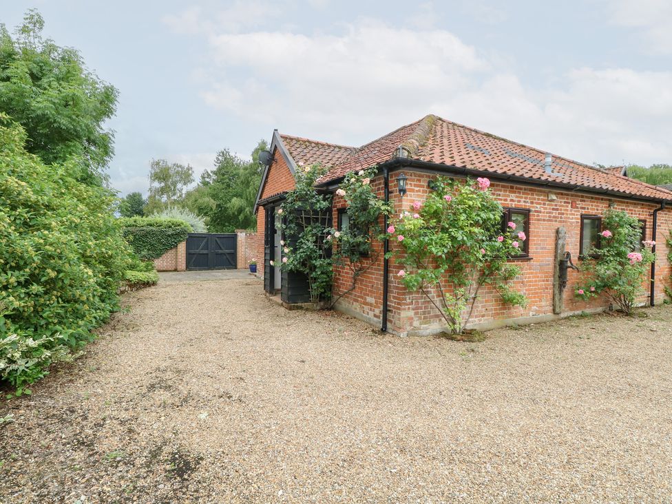 A house with rose bushes near a gravel driveway at Lowbrook Cottage Dickleburgh near Diss