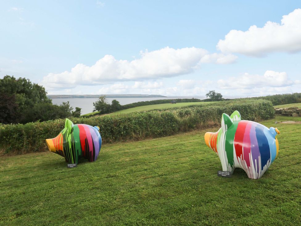 Colorful piggy banks in a field at Silvermine House Charlestown