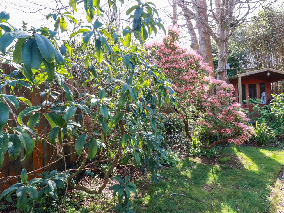 A garden with trees and a shed at Little Pippin in Carlyon Bay near St Austell