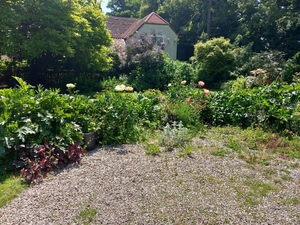 A garden with various plants and flowers at Little Yaffle Martin near St Margarets at Cliffe