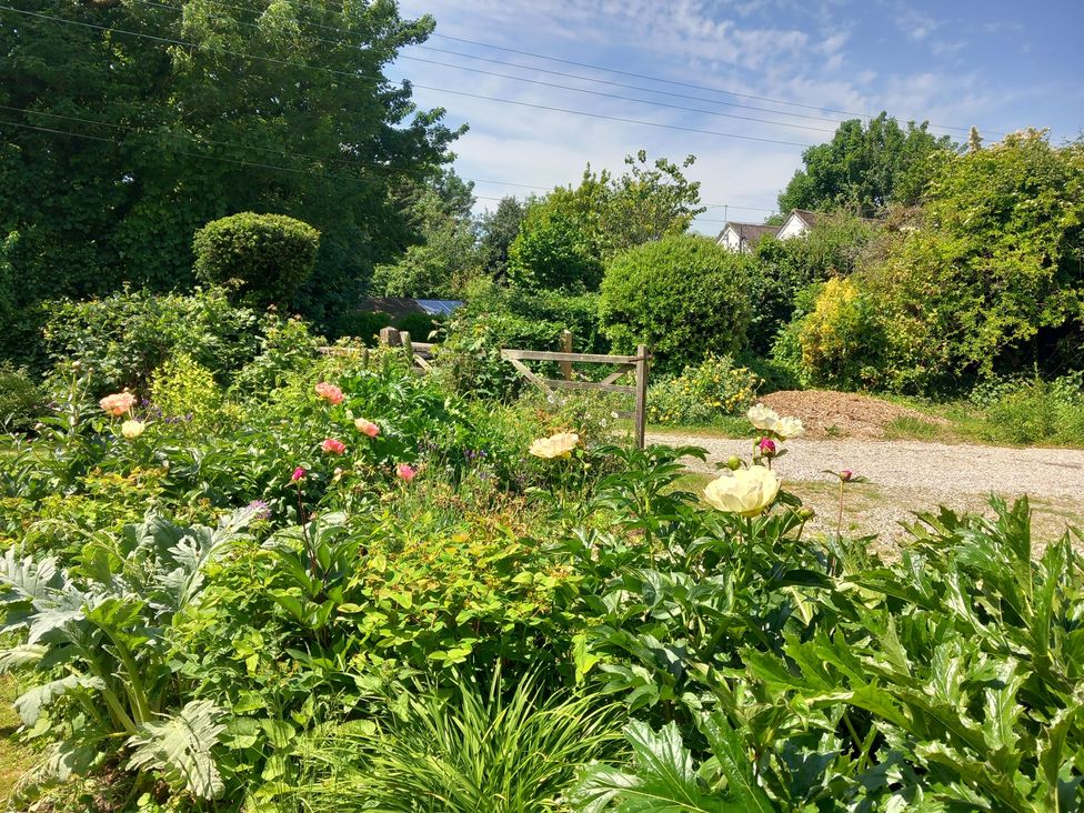 A garden with flowers and a gravel path at Little Yaffle in Martin near St Margarets at Cliffe