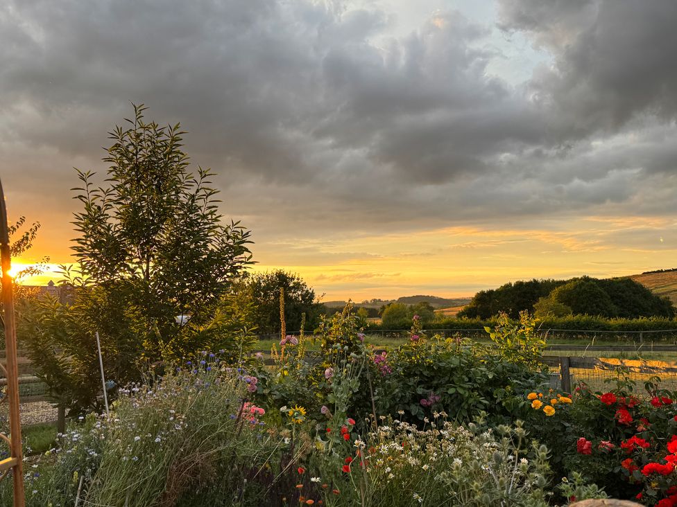 A garden with flowers and a tree at Gables Cottage in Market Rasen