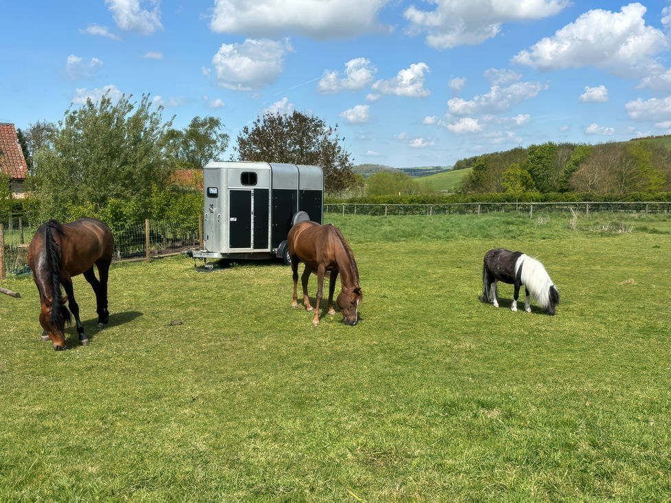 Three horses grazing near a trailer at Gables Cottage Market Rasen