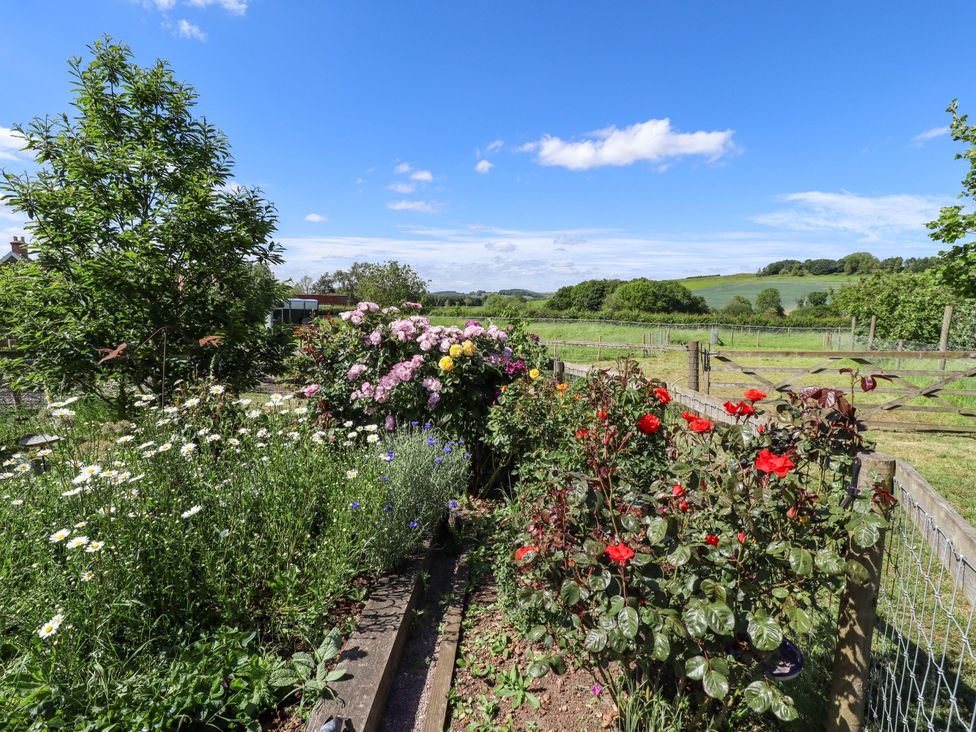 A garden with various flowers and a fence at Gables Cottage in Market Rasen