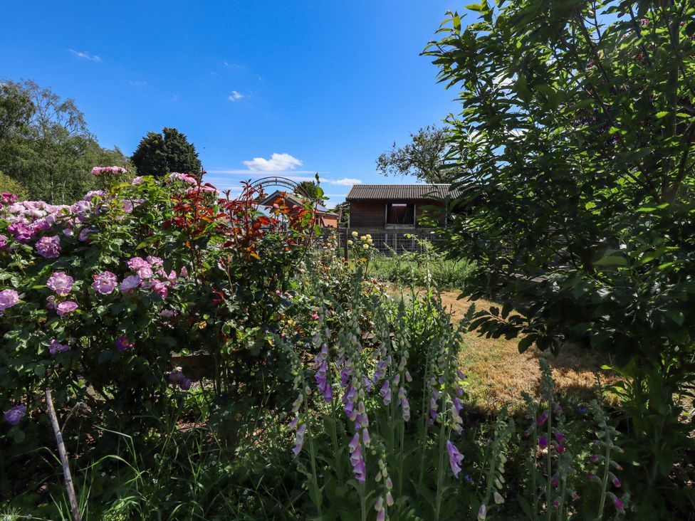 A garden with flowers and a shed at Gables Cottage in Market Rasen