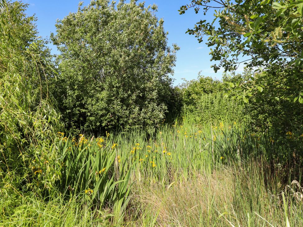 A natural landscape with trees and flowers at Gables Cottage Market Rasen