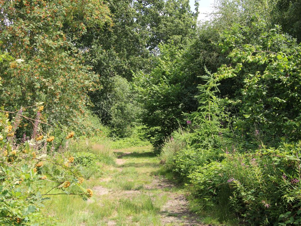 Dairy Cottage - Shropshire - 988082 - thumbnail photo 20