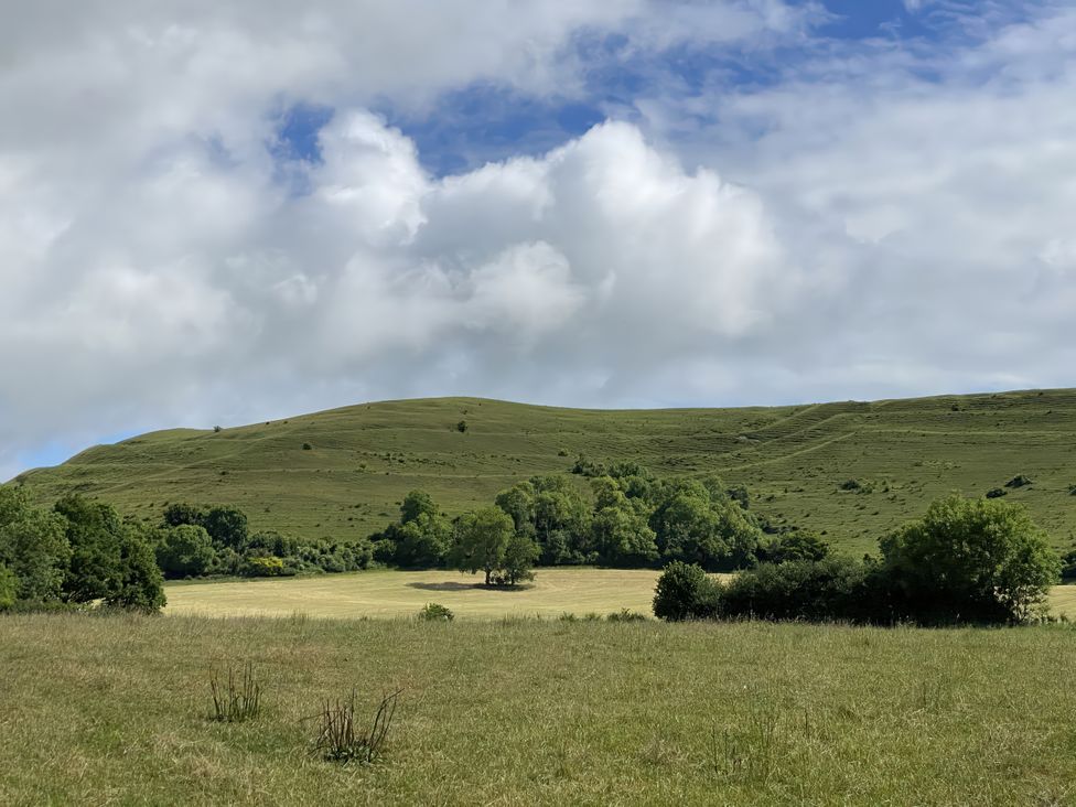 A landscape with hills and trees at Maple Cottage in Buckland Newton near Dorchester