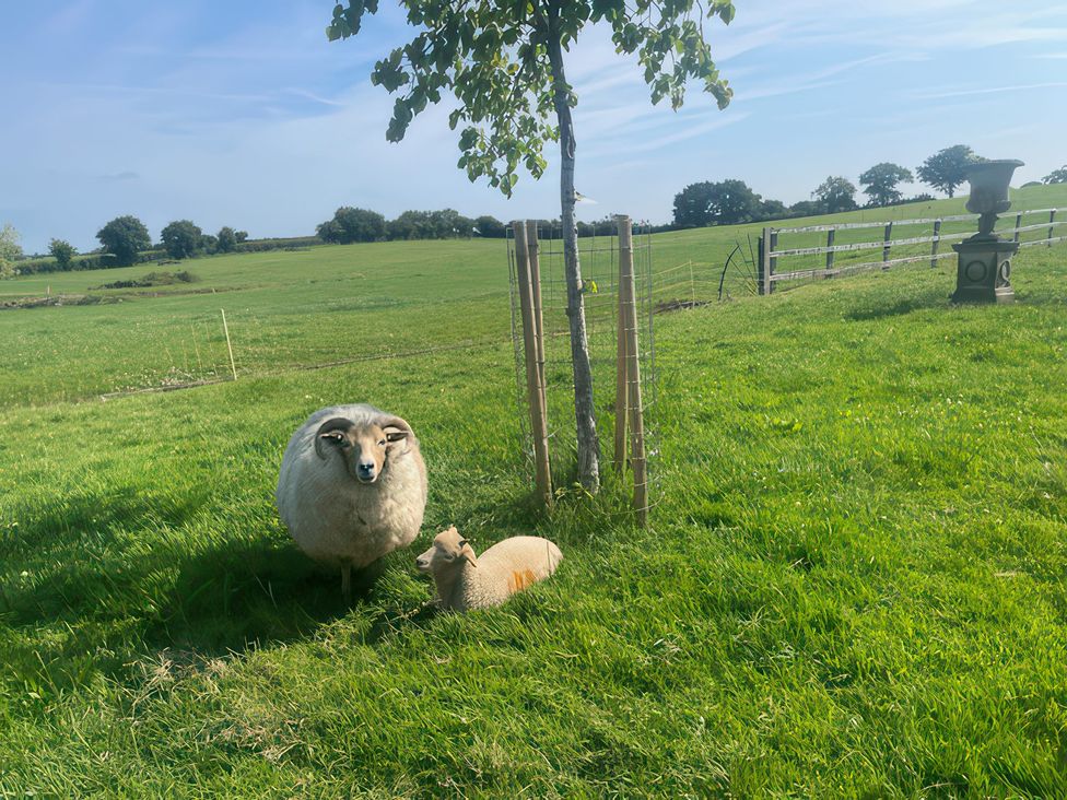 A sheep and a lamb with a tree in a field at Maple Cottage Buckland Newton near Dorchester