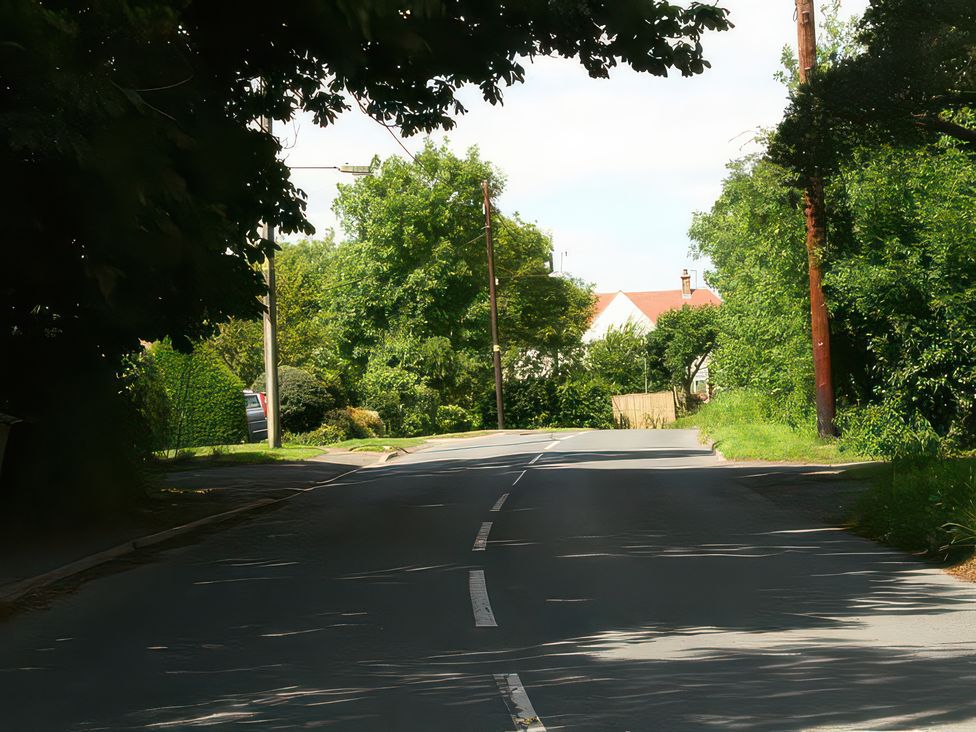 A street lined with trees and houses at Elm View in Chipping Campden