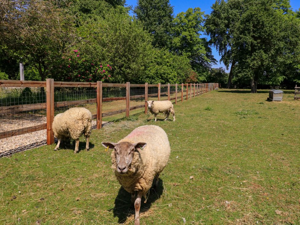 Garden Cottage - Cotswolds - 988739 - thumbnail photo 38