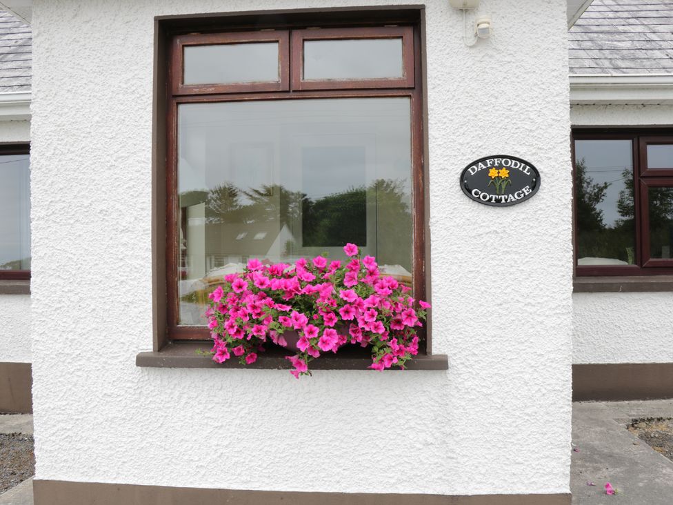 Daffodil Cottage - County Sligo - 988855 - thumbnail photo 3