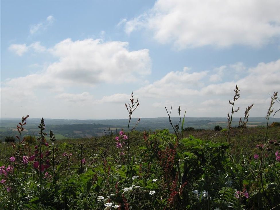 Kitts Cottage - Cornwall - 988866 - thumbnail photo 3